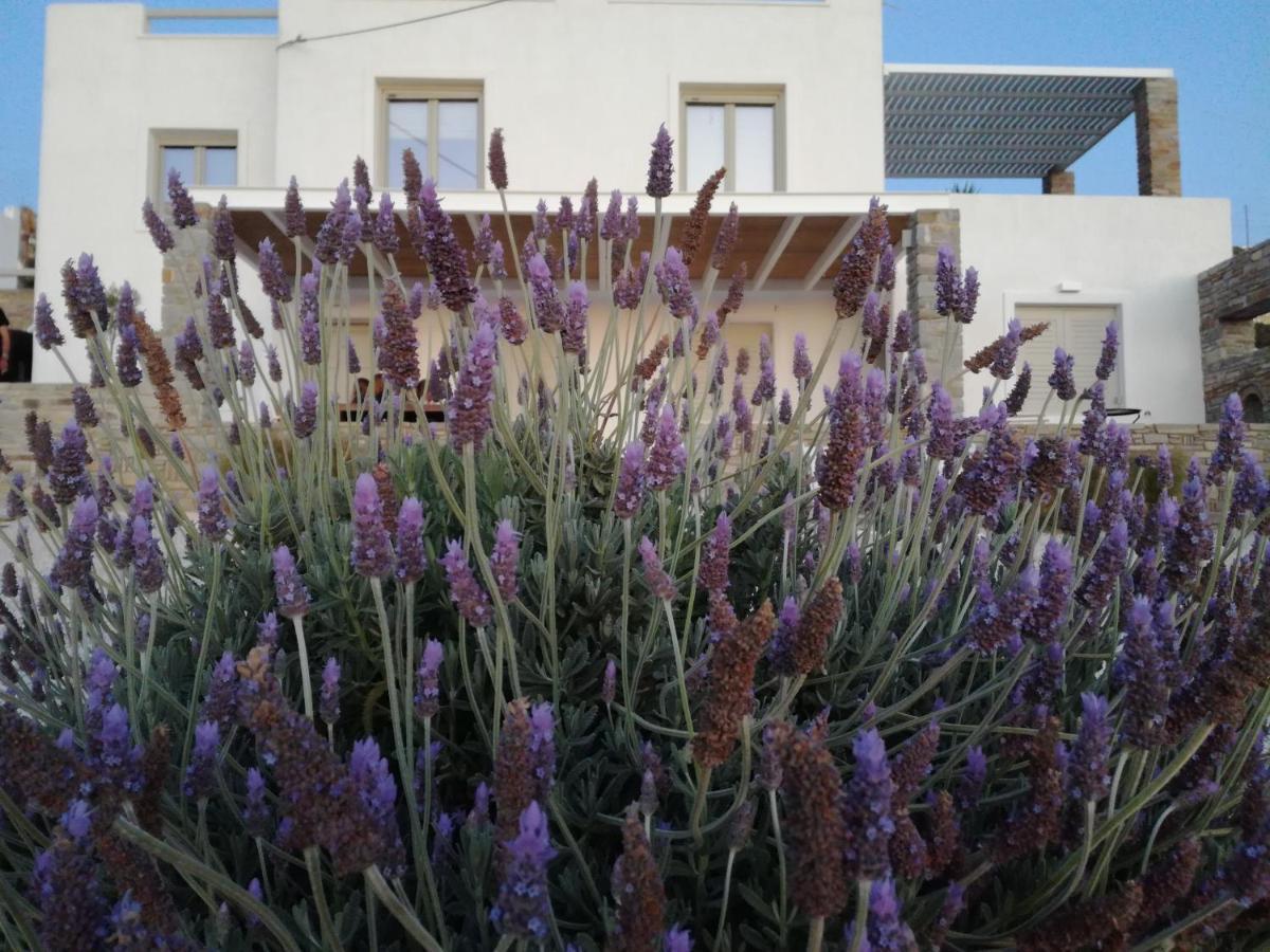 Villa Nesaea Seafront House Parasporos Exterior foto